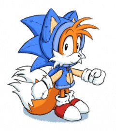 tails_cosplay.jpg