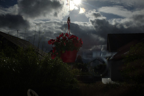 Darktable 220 04 02